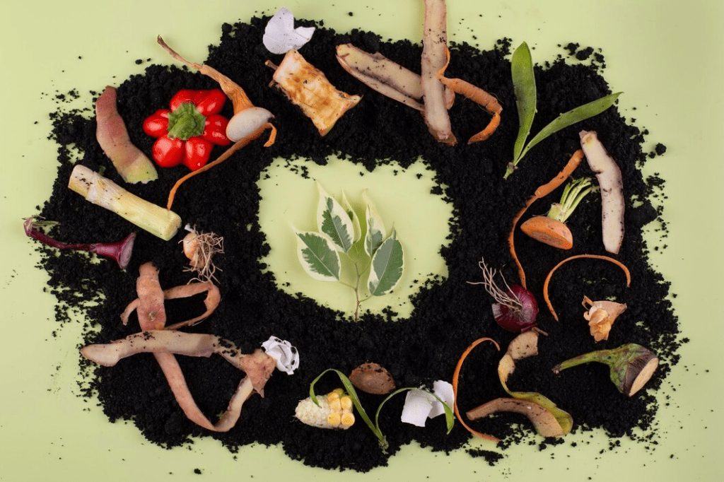 Soluții inovatoare pentru gestionarea deșeurilor în proiectele de ecologizare 4