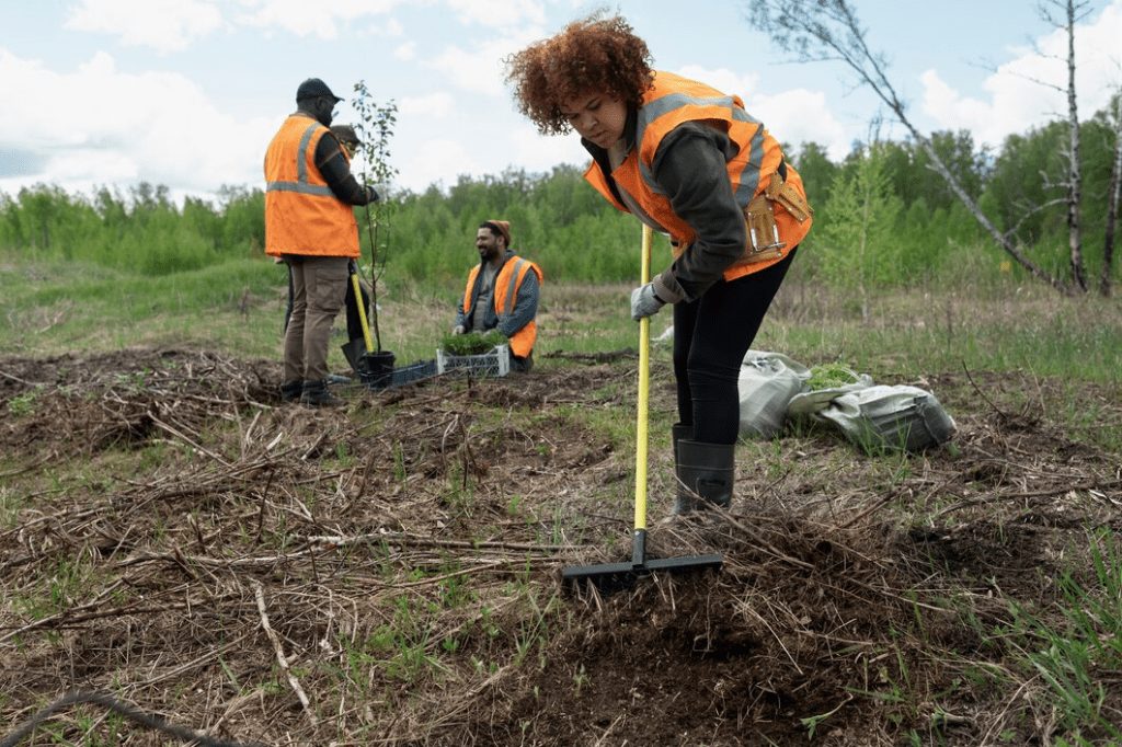 Importanța biodiversității în restaurarea terenurilor 2