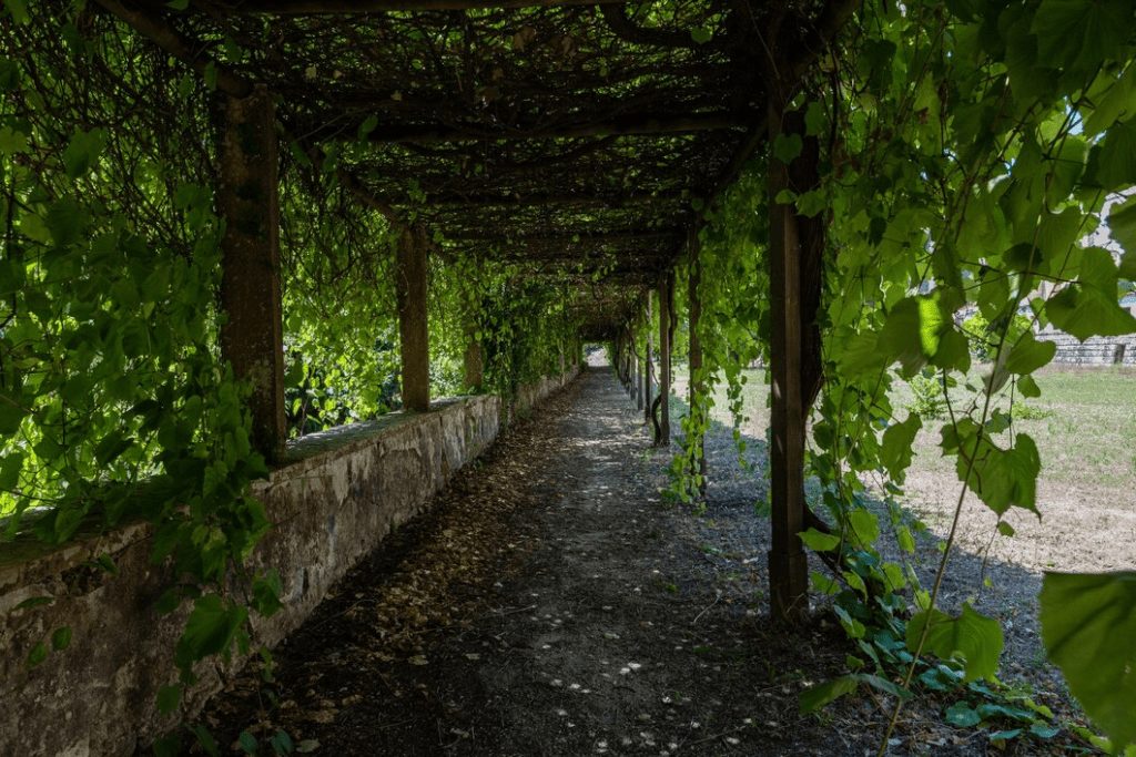 Importanța biodiversității în restaurarea terenurilor 4