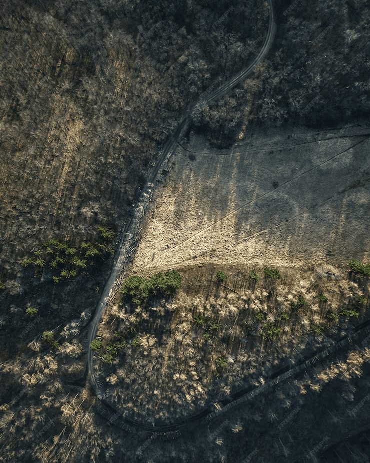 Legislație și reglementări în ecologizarea terenurilor afectate 3 Legislație și reglementări în ecologizarea terenurilor afectate 2