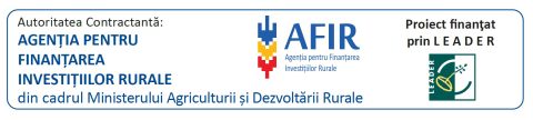 Despre noi 13